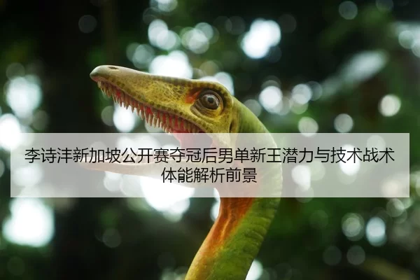 李诗沣新加坡公开赛夺冠后男单新王潜力与技术战术体能解析前景